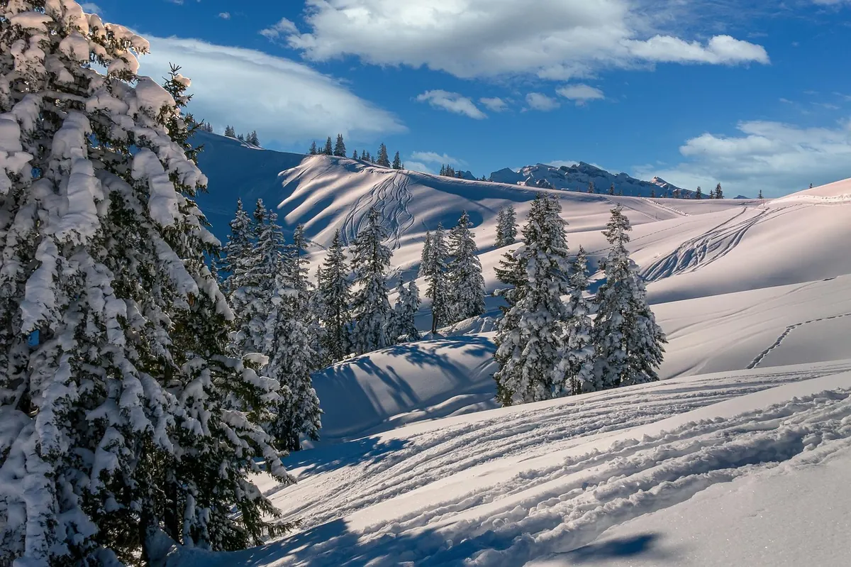 Winter Hill Walking in Scotland: Essential Skills and Safety Tips